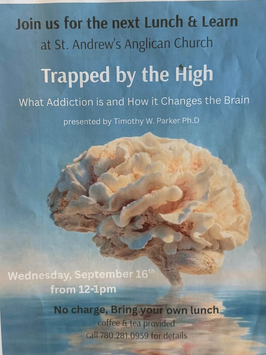 Trapped by the High: What Addiction is and How it Changes the Brain